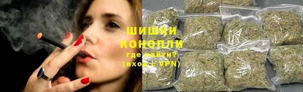 mdpv Богородицк