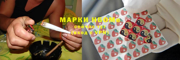 mdpv Богородицк