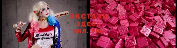 mdpv Богородицк