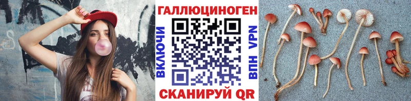 Галлюциногенные грибы Cubensis  Козельск 